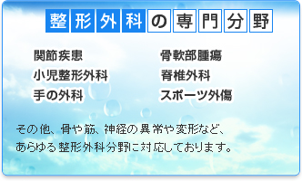 整形外科の専門分野