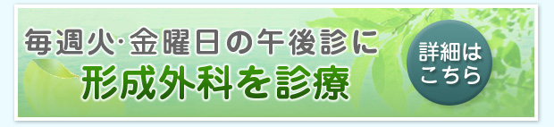 毎週火曜日の午後診に形成外科を診療